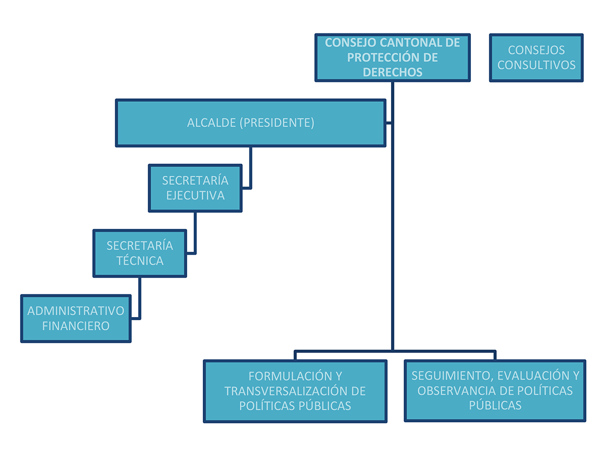 EstructuraOrganicaccpd